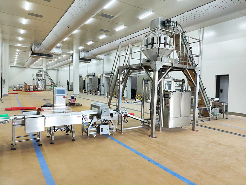 automatisk pakkemaskine forzen mad