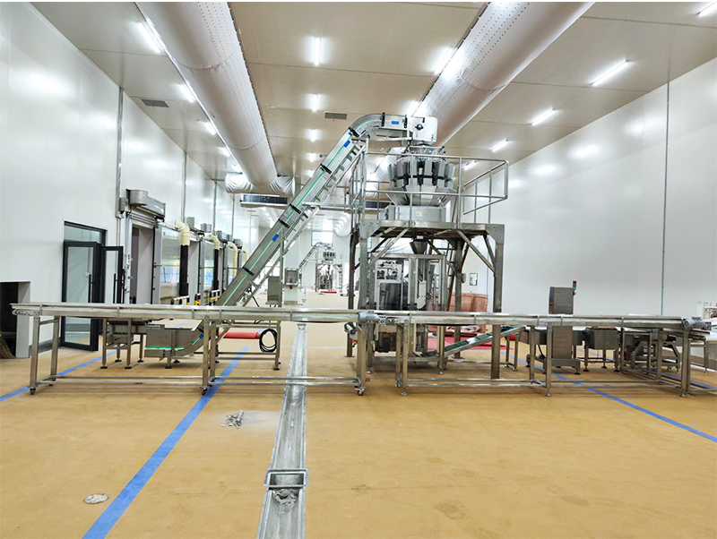 automatisk pakkemaskine forzen mad